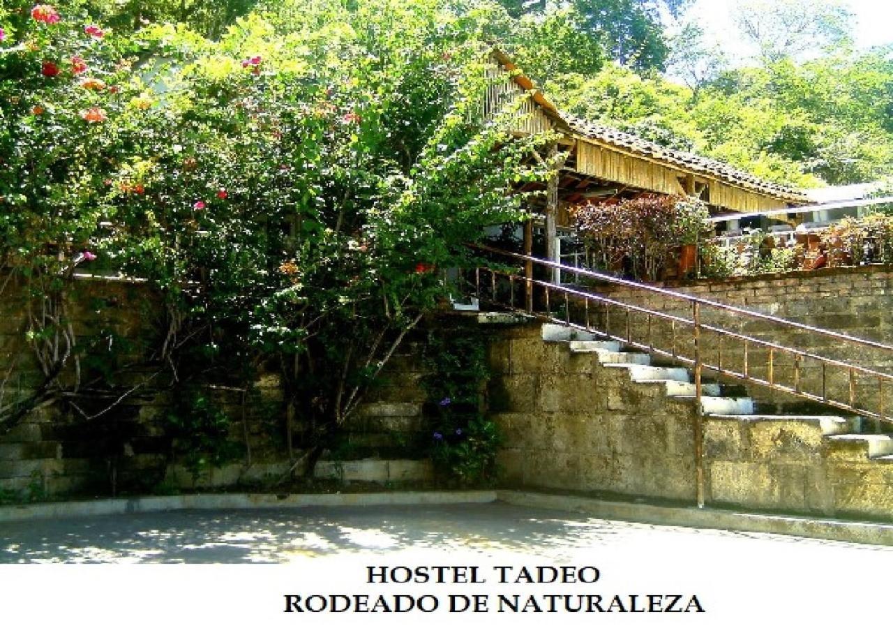 Hostel Tadeo San Juan Del Sur Dış mekan fotoğraf